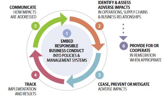 Due Diligence Assessment